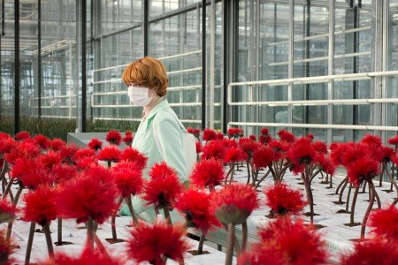 “Little Joe” Isn’t a Sci-Fi, Thriller or Horror. So What Is It?