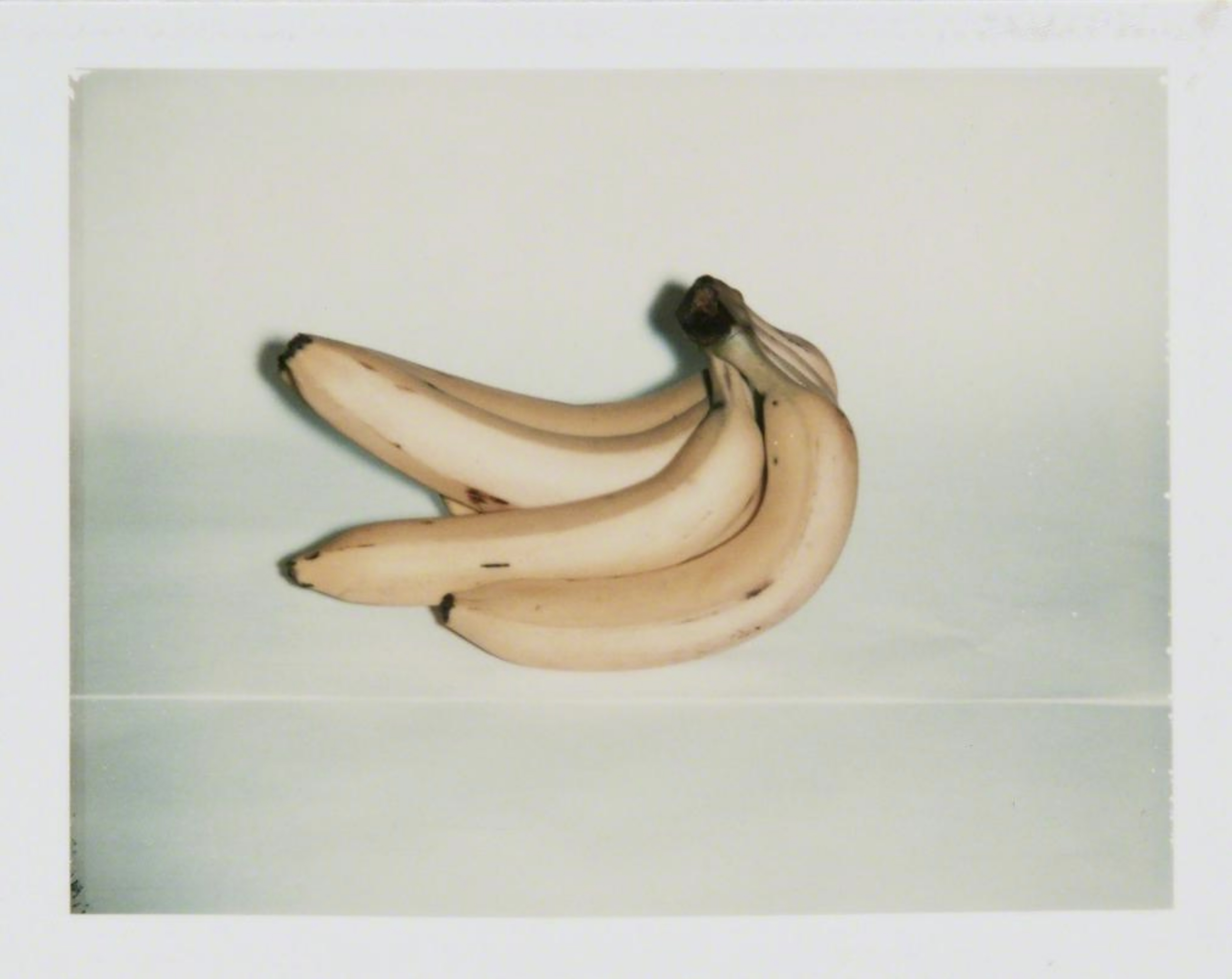 Andy Warhol bananas photo