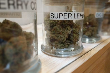 Cannabis strains in jars at a marijuana dispensary