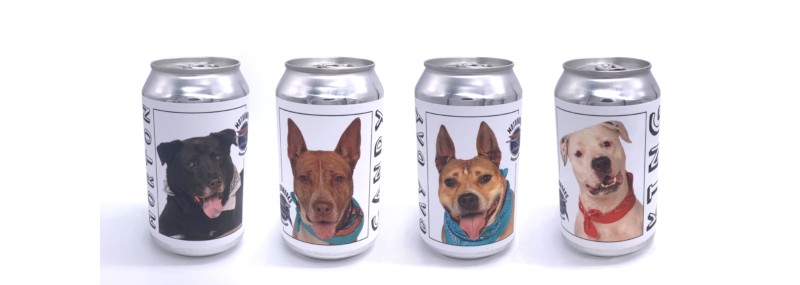 Adoptable Dog Cruiser cans
