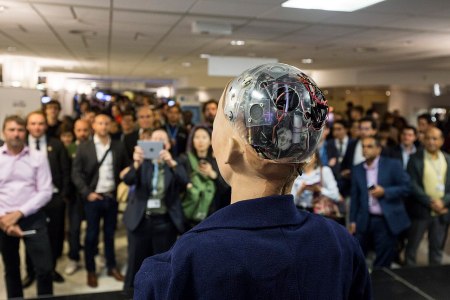 Sophia's computer brain