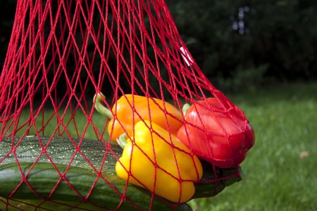 Grocery bag with vegetables