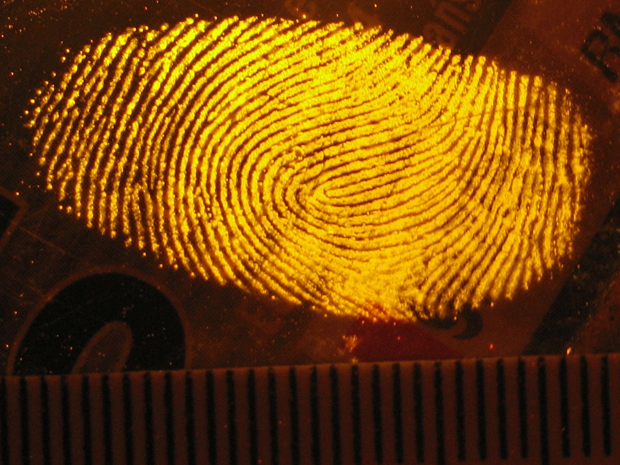 Fingerprint