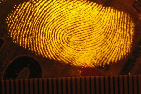 Fingerprint