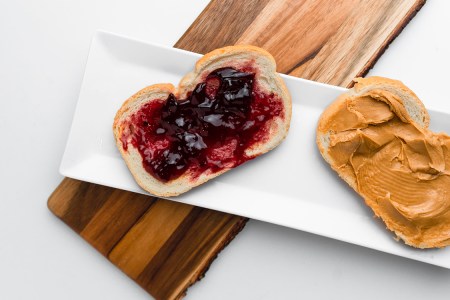 In Defense of the Immutable Peanut Butter and Jelly Sandwich