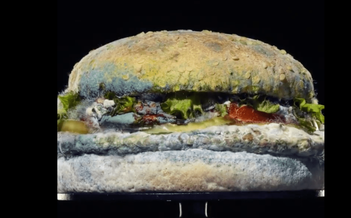 Burger King s Moldy Whopper Shows Off Preservative Free Burgers Burger King s Moldy Whopper Shows Off Preservative Free Burgers