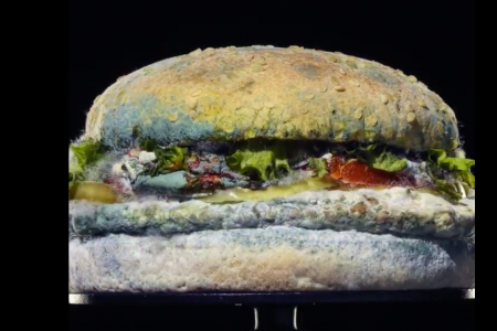 Burger King's Moldy Whopper Shows Off Chain's Preservative-Free Burgers