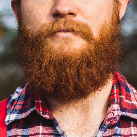 lumberjack beard