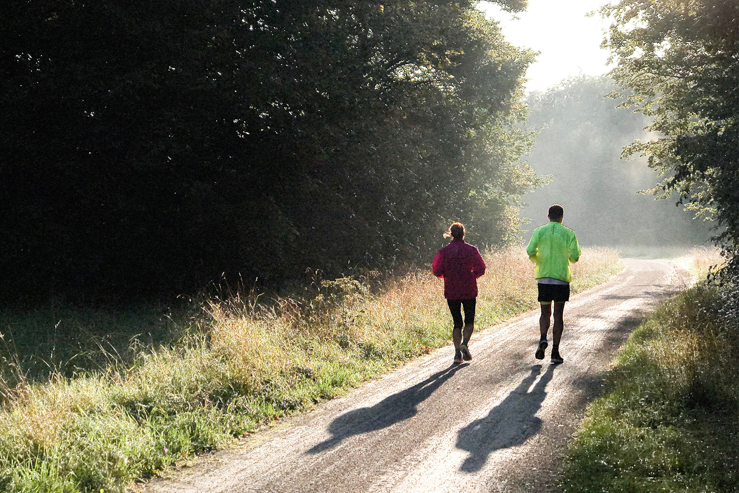 Two people running on a trail