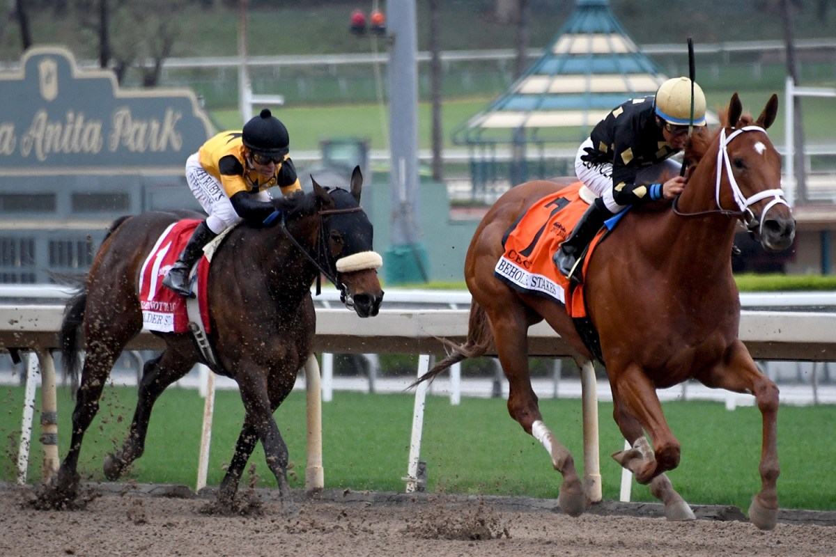 Horse Racing Is One of the Last Sports Standing in US