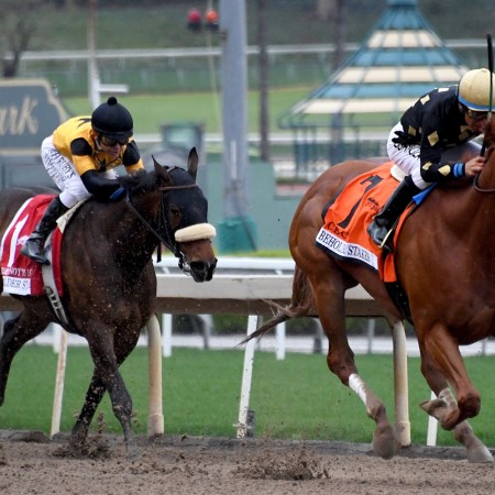 Horse Racing Is One of the Last Sports Standing in US