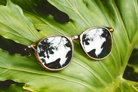 neiman marcus spring edit