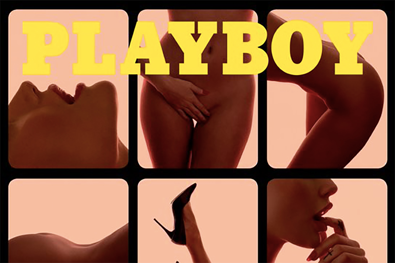 Playmate of the Year