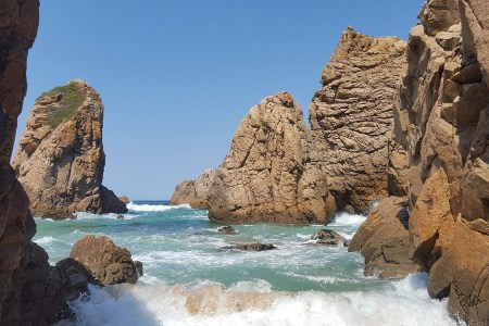 Report: Neanderthals Were Apparently Huge Fans of Seafood