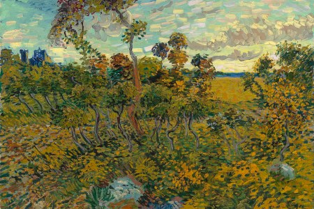 This Vincent van Gogh painting sat in an attic for decades