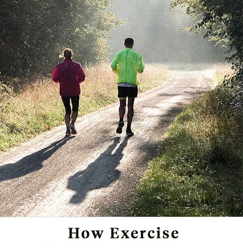 why exercise