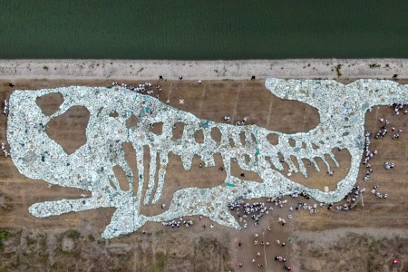 Plastic ocean waste forms the image of a whale on a beach