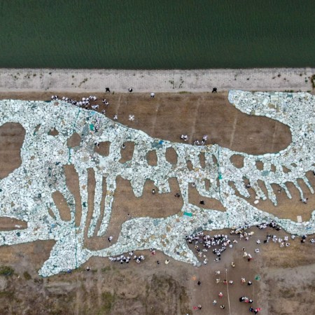 Plastic ocean waste forms the image of a whale on a beach