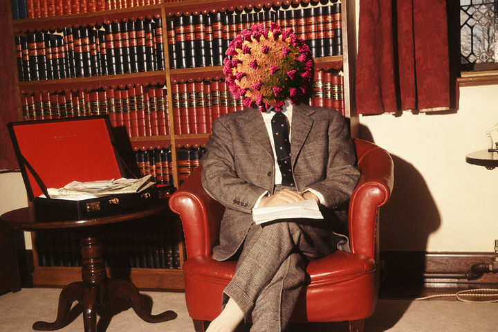 Why do armchair epidemiologists have such all-encompassing belief in their own interpretation of COVID-19 data?