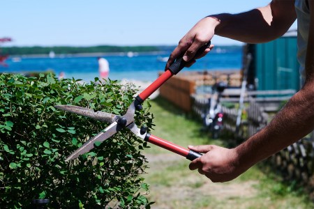 Does Yardwork Count as Exercise?