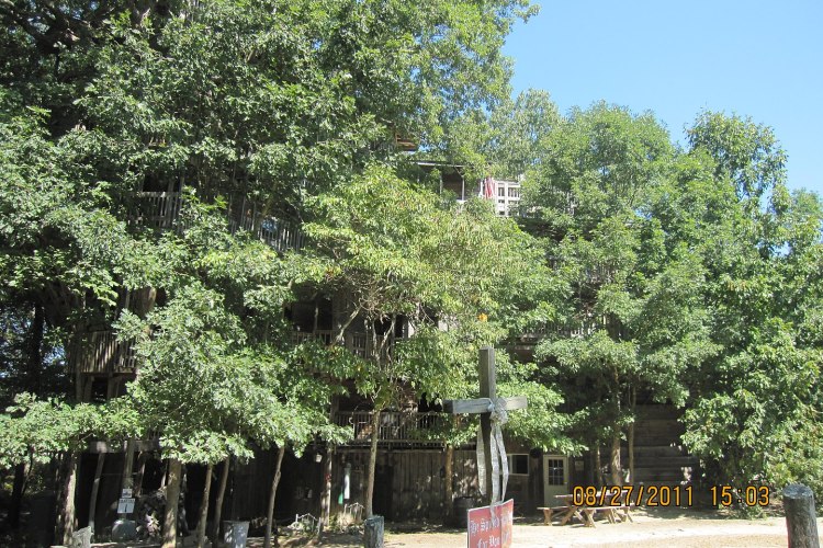 Massive treehouse