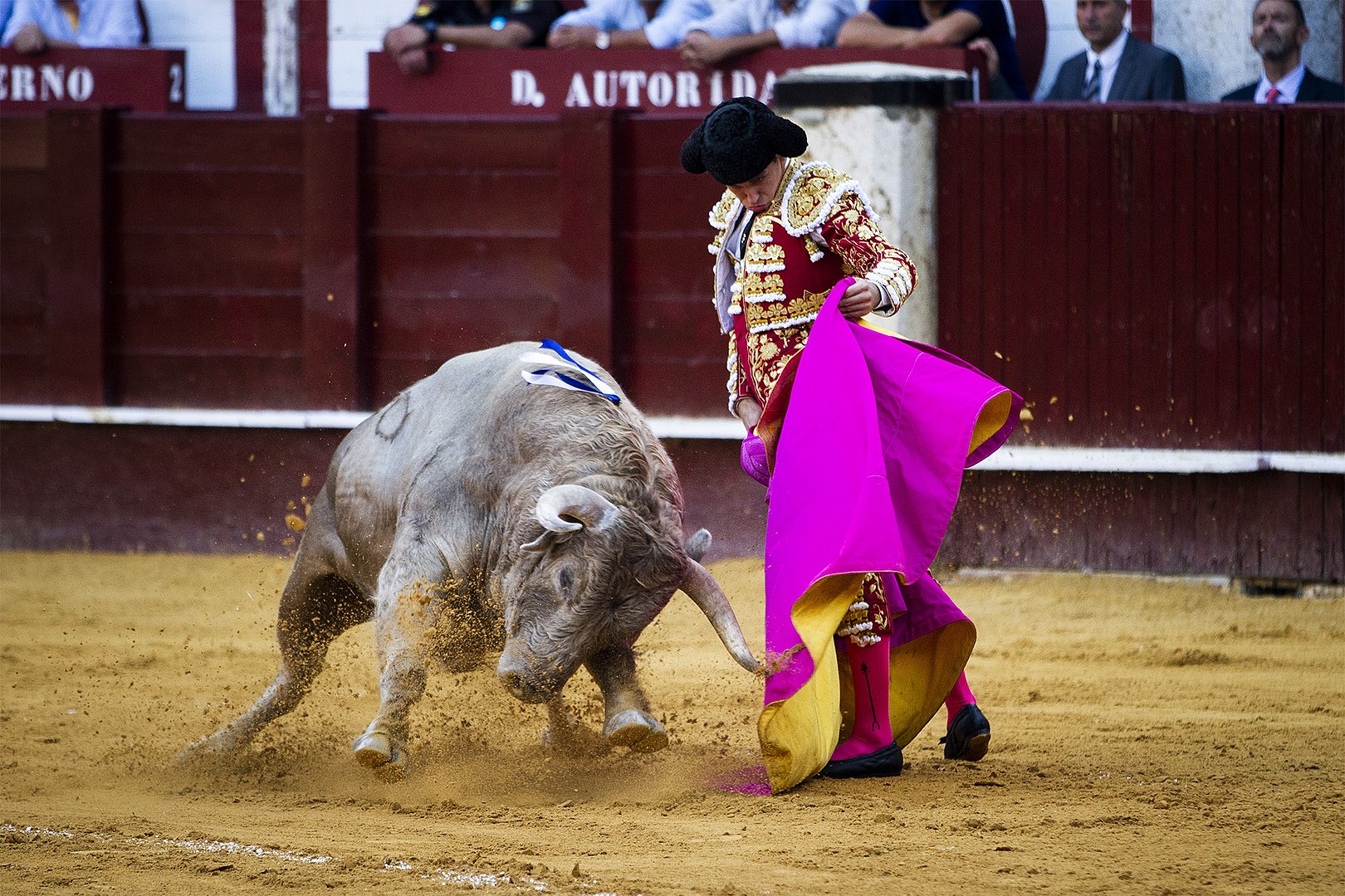 Bullfighting in Spain