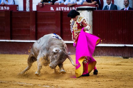Bullfighting in Spain