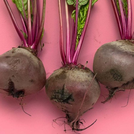 Pictures of beets against a pink background.