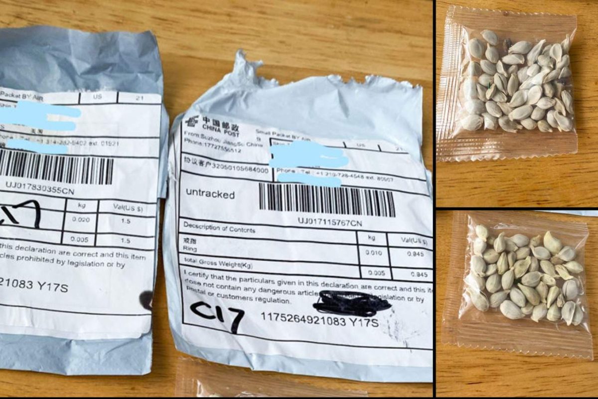 Americans in 28 states have received mysterious packages of seeds from China
