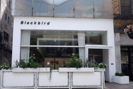 Blackbird won't reopen after closing in March