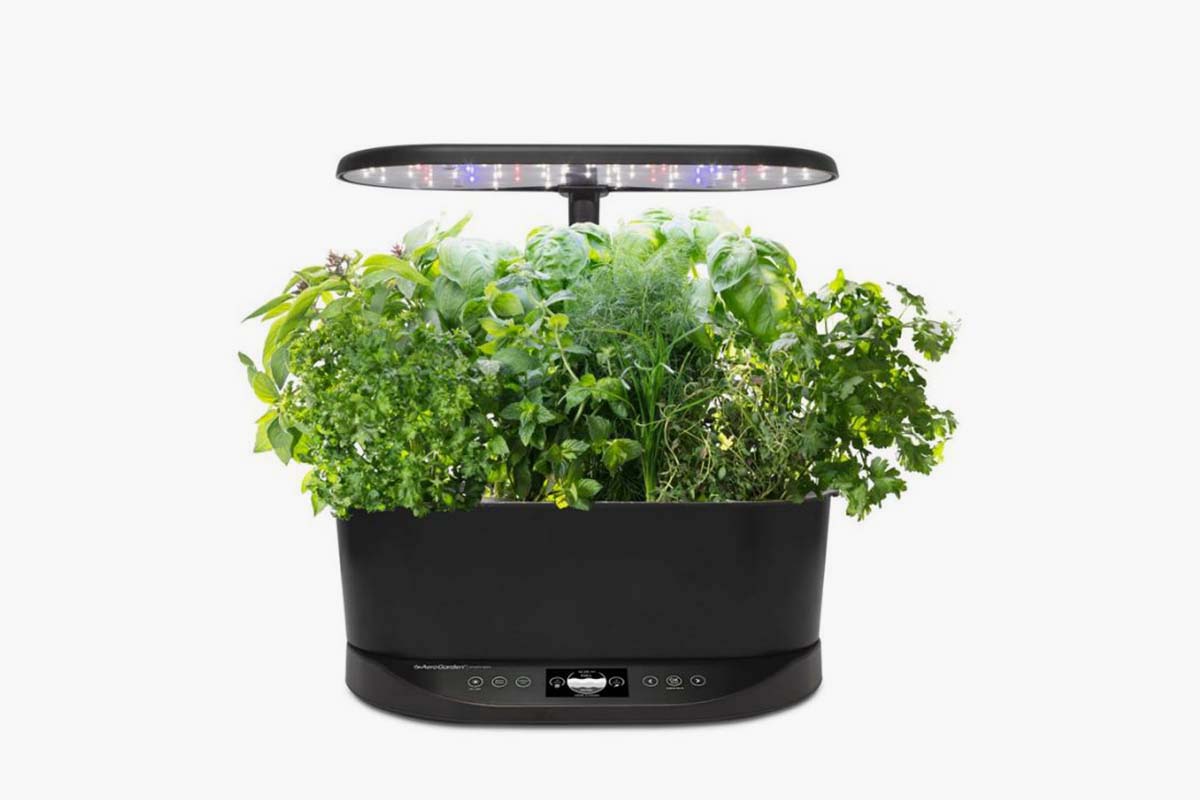 AeroGarden Bounty Basic