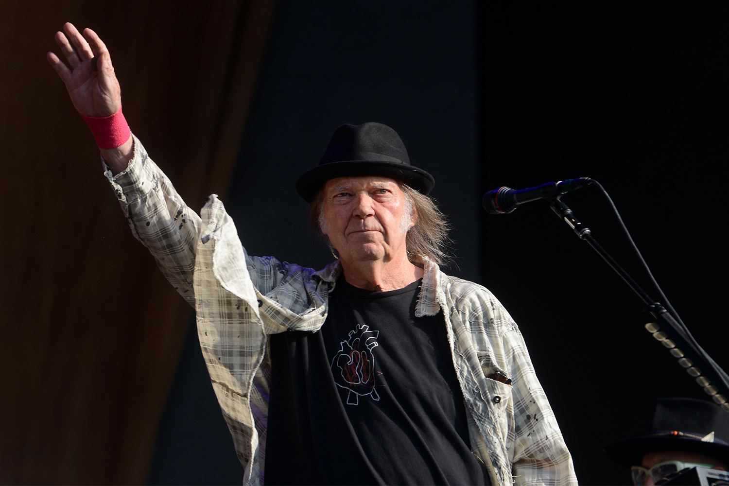 Neil Young Spends $20K to Disengage Website from Facebook, Google ...