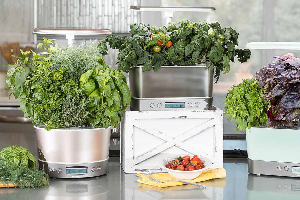 AeroGarden