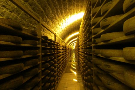Cheese cellar