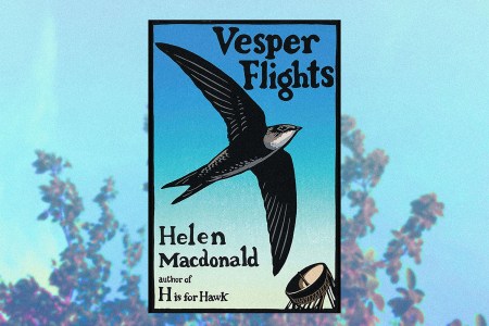 vesper flights book club