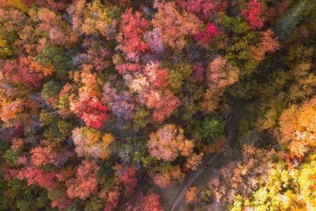 Labor Day Could Actually Be the Start of Travel Season This Year