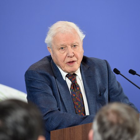 Sir David Attenborough speaks at the launch of the UK-hosted COP26 UN Climate Summit, being held in partnership with Italy this autumn in Glasgow, at the Science Museum on February 4, 2020 in London, England. Johnson will reiterate the government's commitment to net zero by the 2050 target and call for international action to achieve global net zero emissions. The PM is also expected to announce plans to bring forward the current target date for ending new petrol and diesel vehicle sales in the UK from 2040 to 2035, including hybrid vehicles for the first time