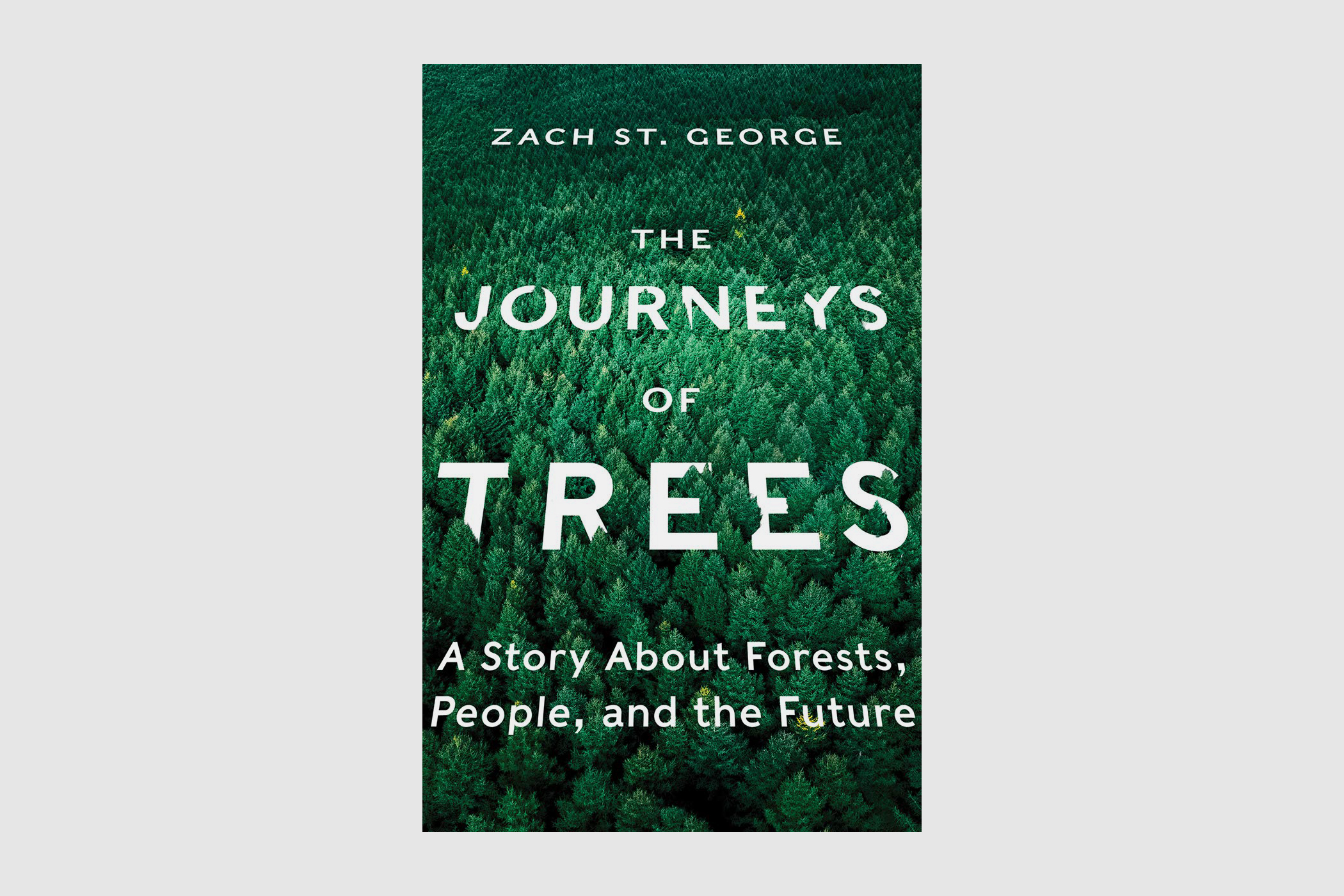 journeys of trees