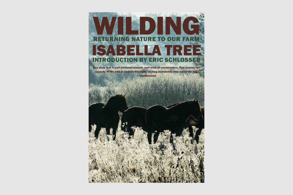 wilding isabella tree