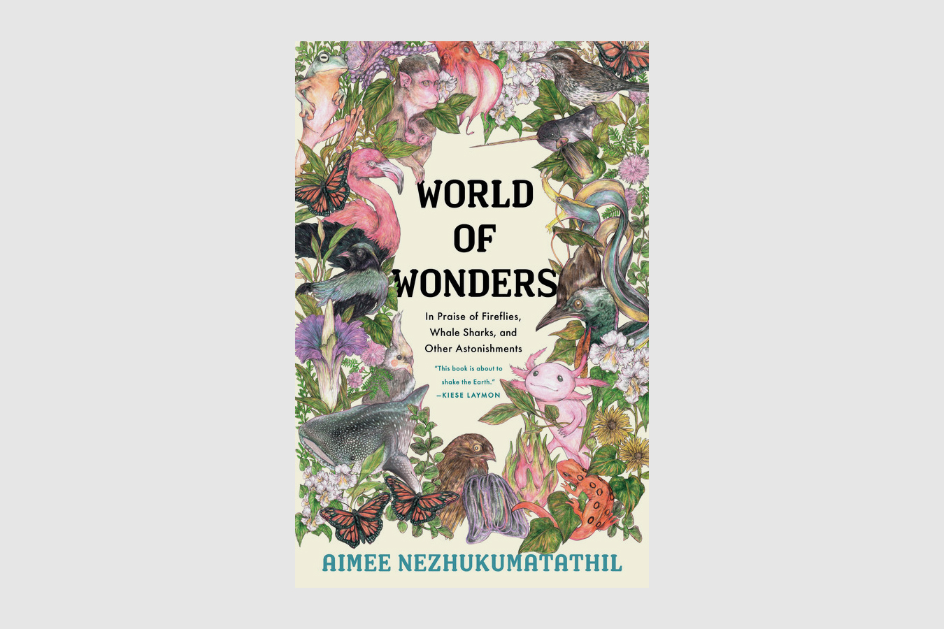 world of wonders