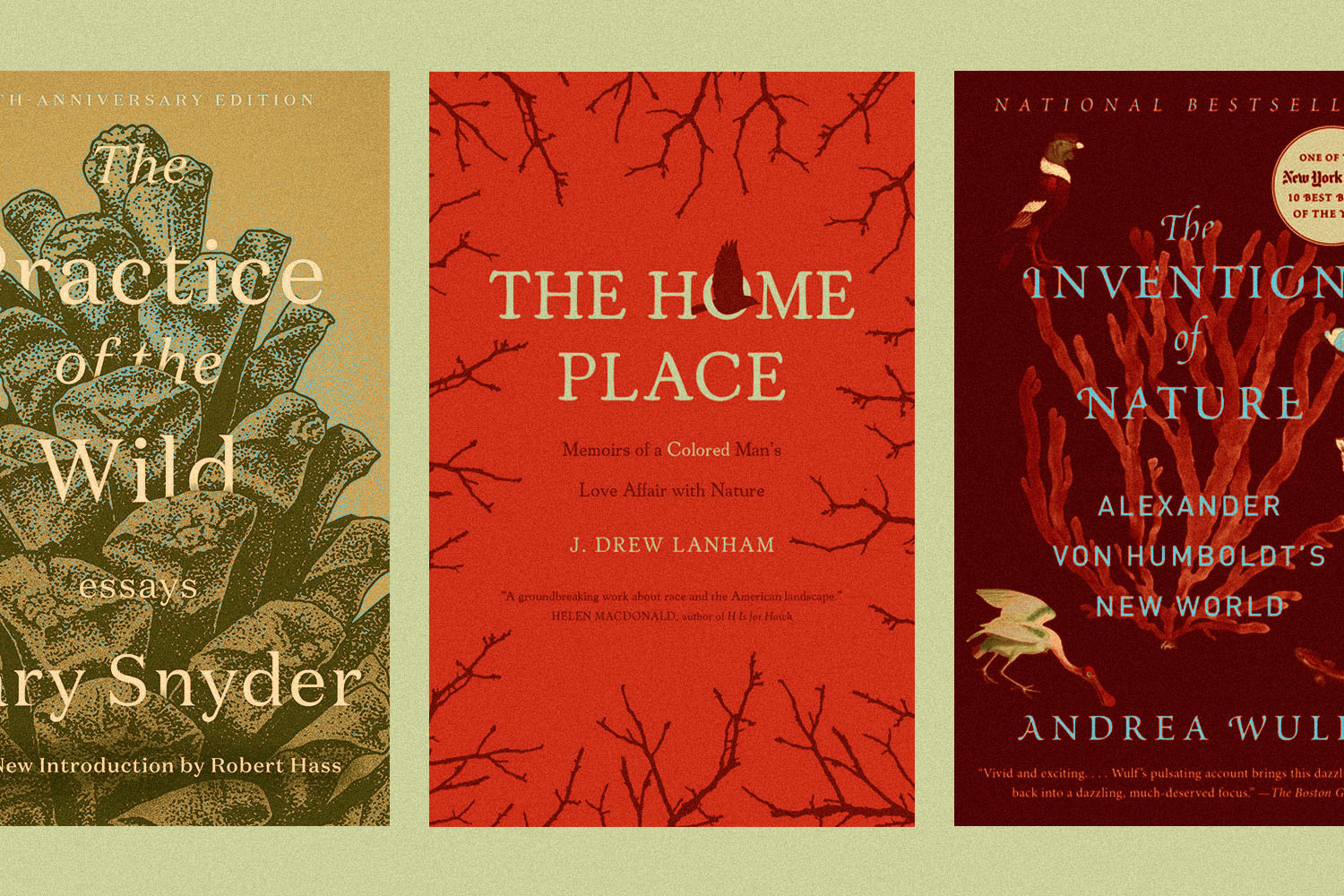 Reading The New Nature Writing Canon InsideHook