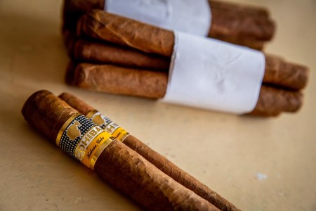 Cuban cigars