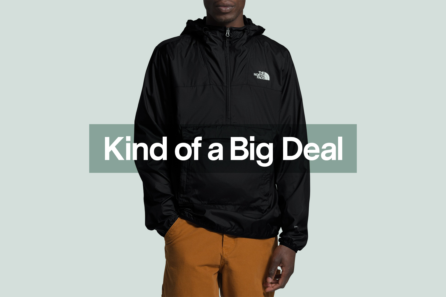 hot sale the north face