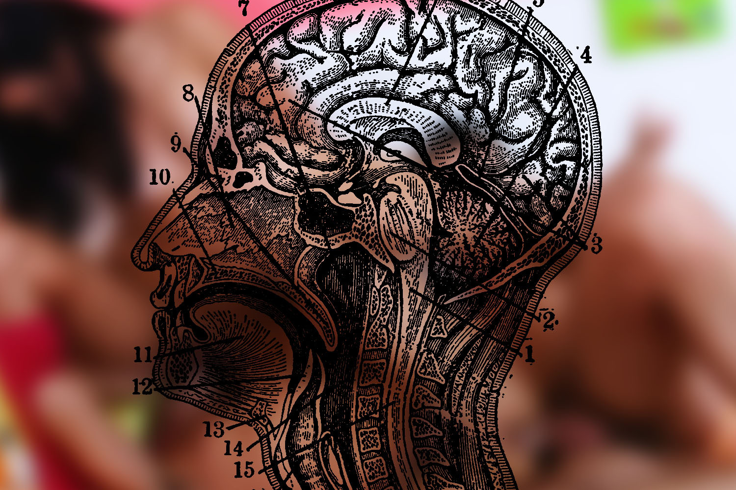 Sacred sons criticism