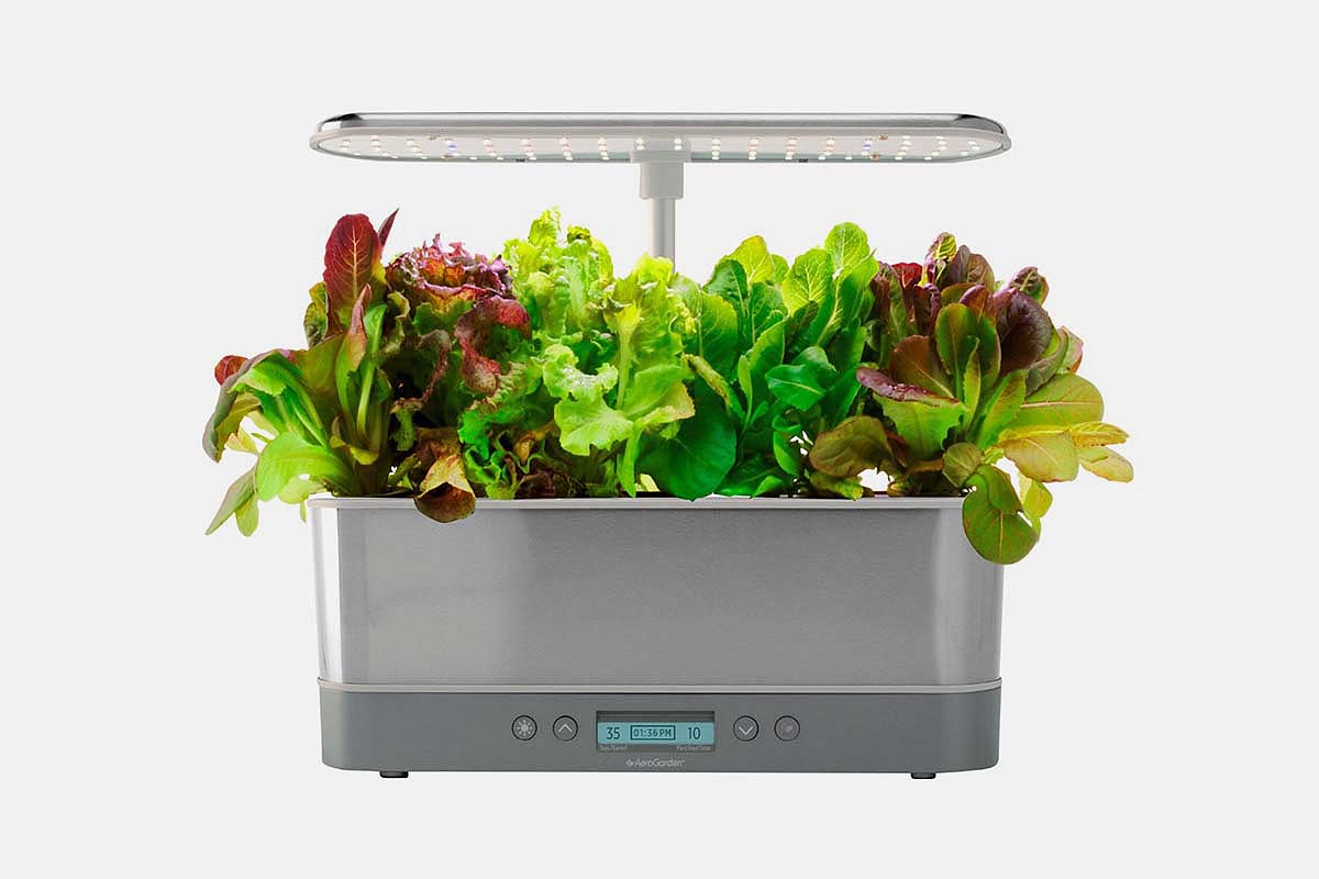 AeroGarden on sale at Best Buy's eBay Store