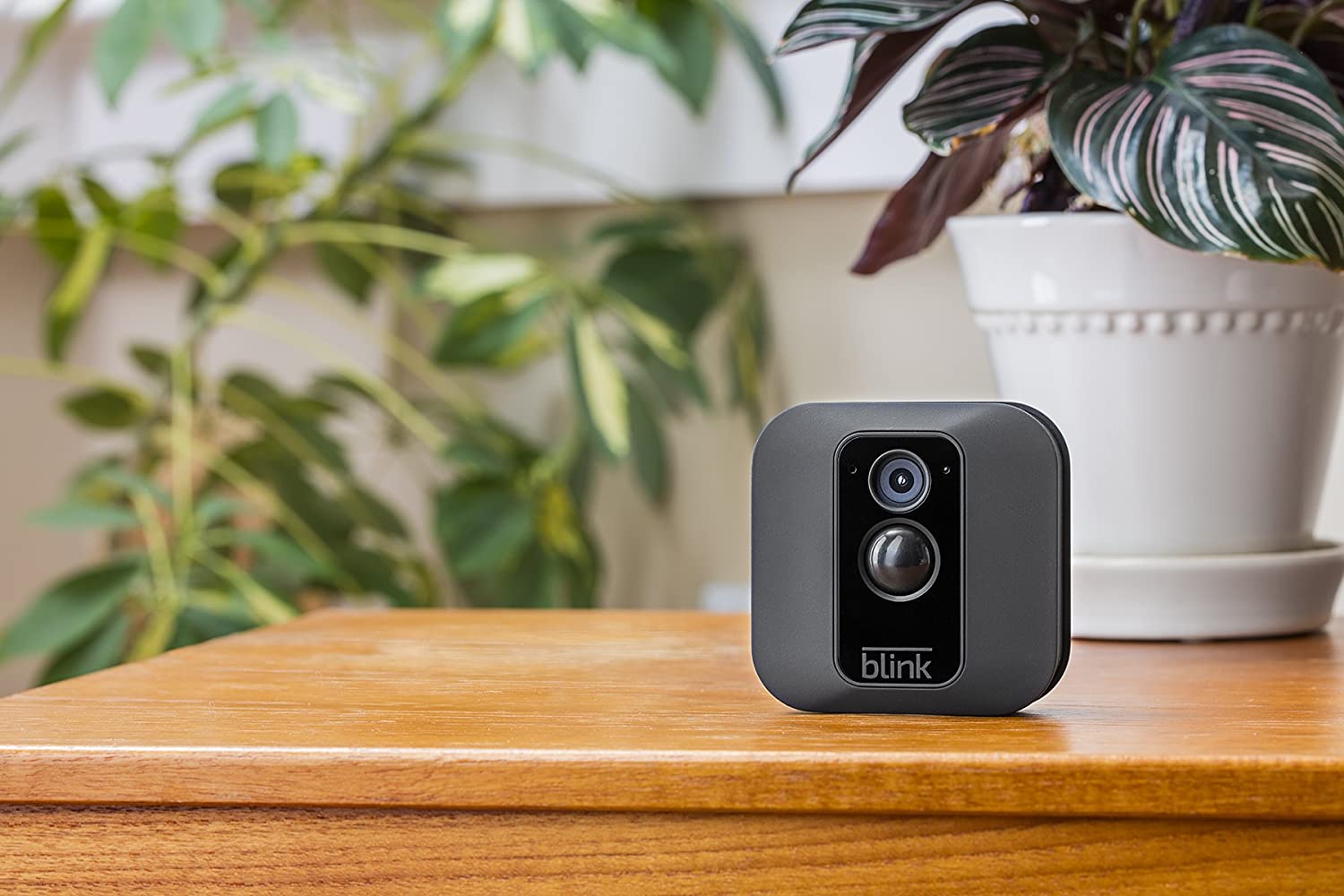 Blink XT home security cameras