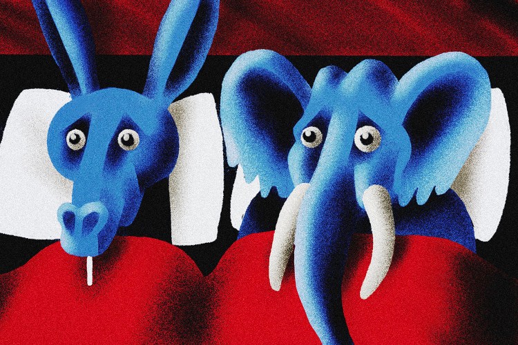 donkey and elephant in bed together