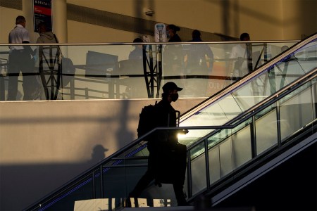 tea thanksgiving travel