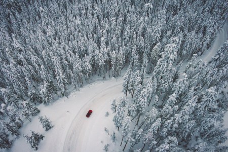 car driving snowy forest
