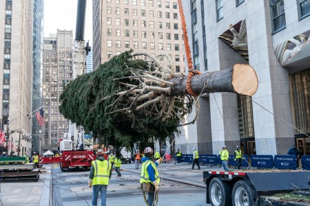 Rockefeller Center Christmas tree